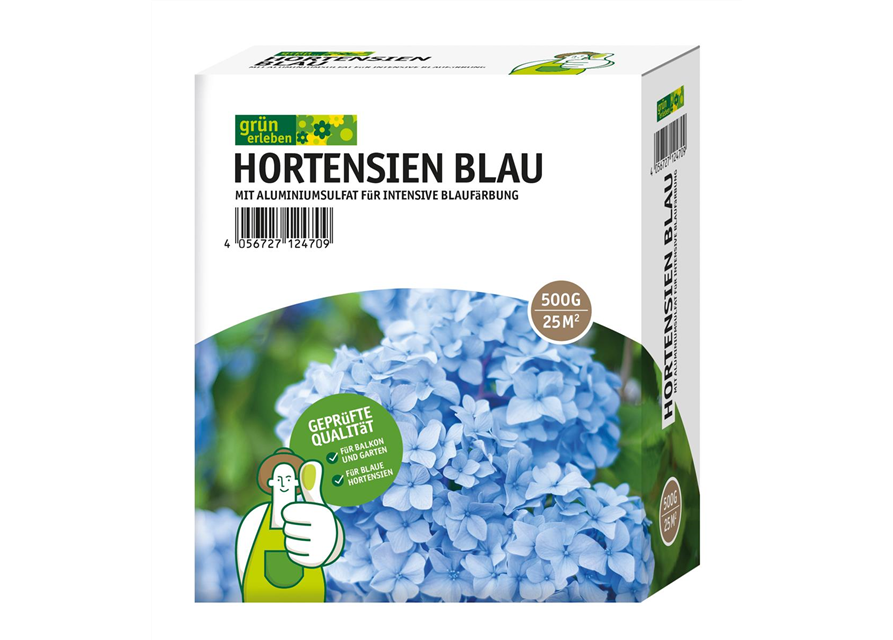 Grün erleben Hortensien Blau 