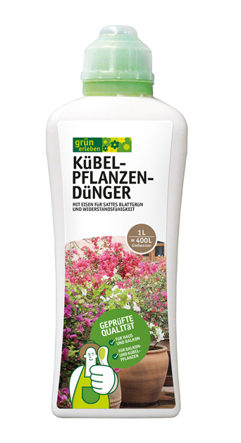 dünger engelstrompete gelbe blätter Engelstrompete gelb - Brugmansia