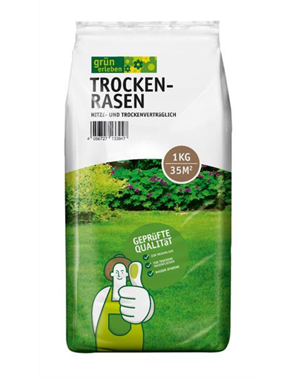 Grün erleben Trockenrasen 