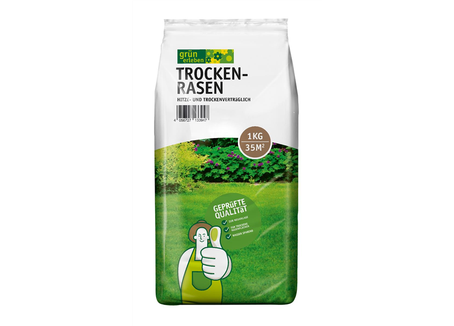 Grün erleben Trockenrasen 