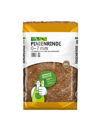 Grün erleben Pinienrinde 