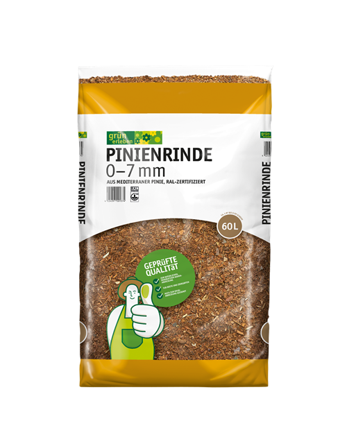 Grün erleben Pinienrinde 