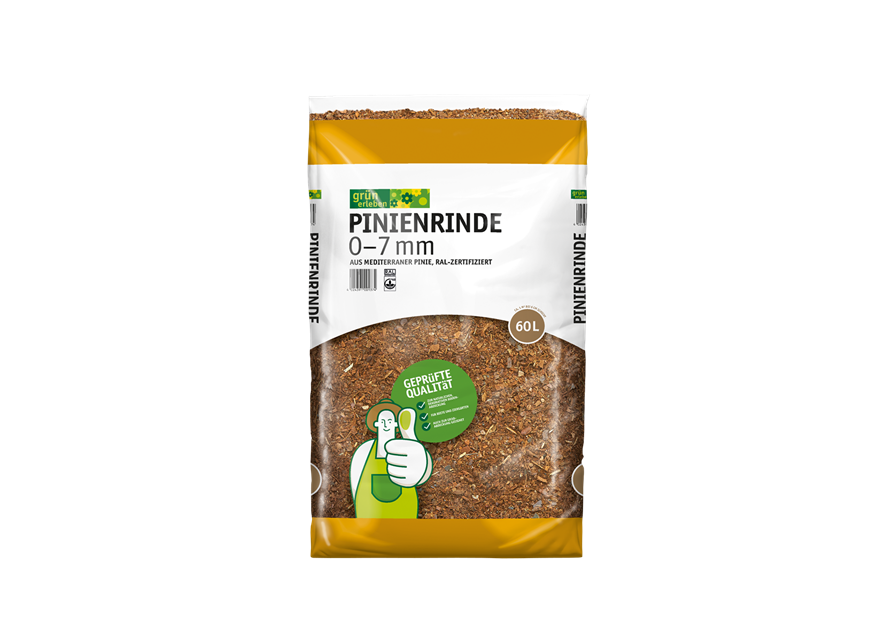 Grün erleben Pinienrinde 