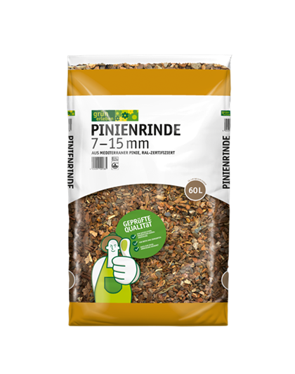 Grün erleben Pinienrinde 