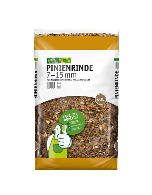Grün erleben Pinienrinde 