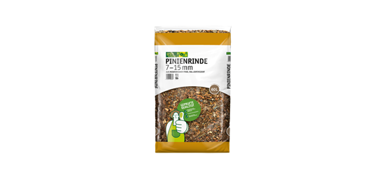 Grün erleben Pinienrinde 