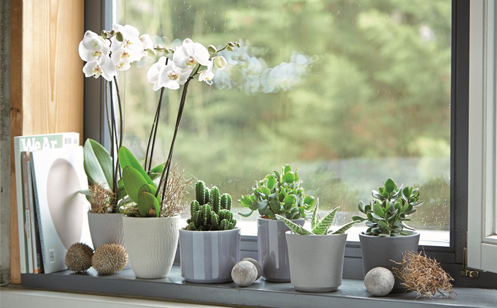 Aktuelles - Die besten Dekotipps! Aktuelles - Die besten Dekotipps!