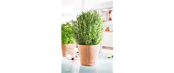 UNBESCHWERT GENIESSEN UNBESCHWERT GENIESSEN