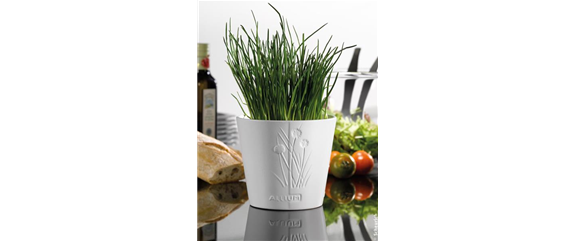 UNBESCHWERT GENIESSEN UNBESCHWERT GENIESSEN