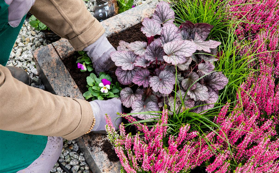 Die Grabpflege Die Grabpflege