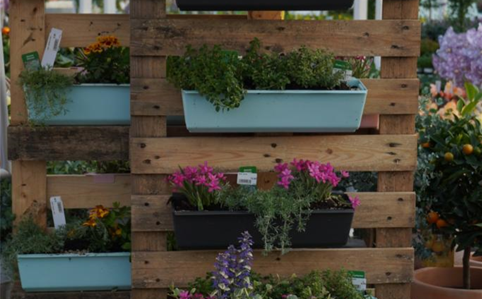 Alternative bei Platzmangel - Vertikale Gärten