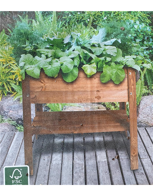 Hochbeet 
