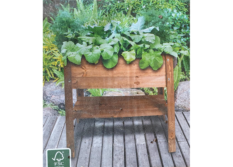 Hochbeet 