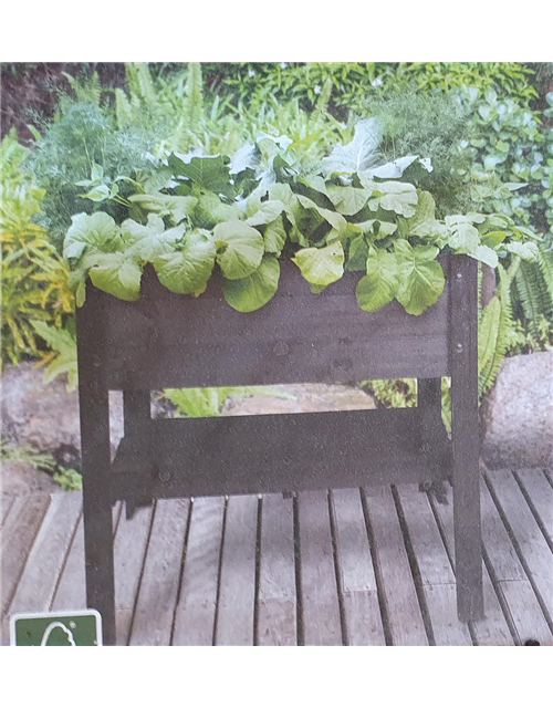 Hochbeet 