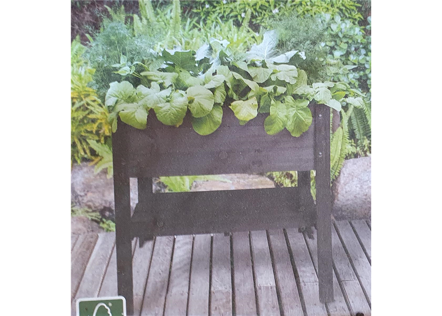 Hochbeet 