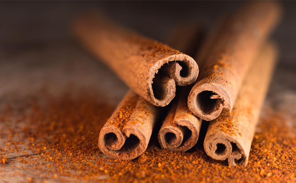 Duftpflanzen - ZIMTPFLANZE Duftpflanzen - ZIMTPFLANZE