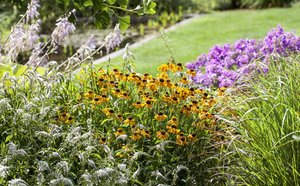 DüNGER - Für gesunde und kräftige Pflanzen DüNGER - Für gesunde und kräftige Pflanzen