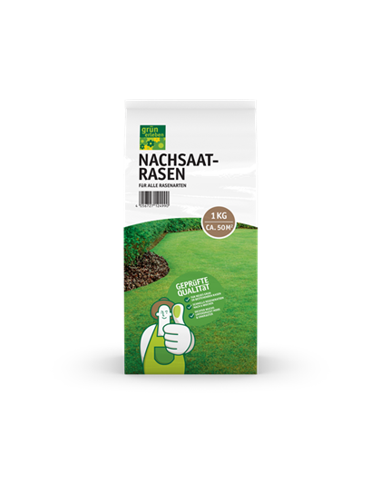 Grün erleben Nachsaatrasen