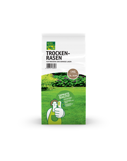 Grün erleben Trockenrasen 