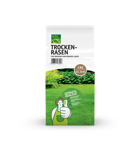 Grün erleben Trockenrasen 