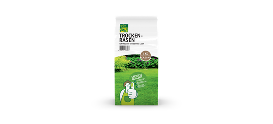 Grün erleben Trockenrasen 