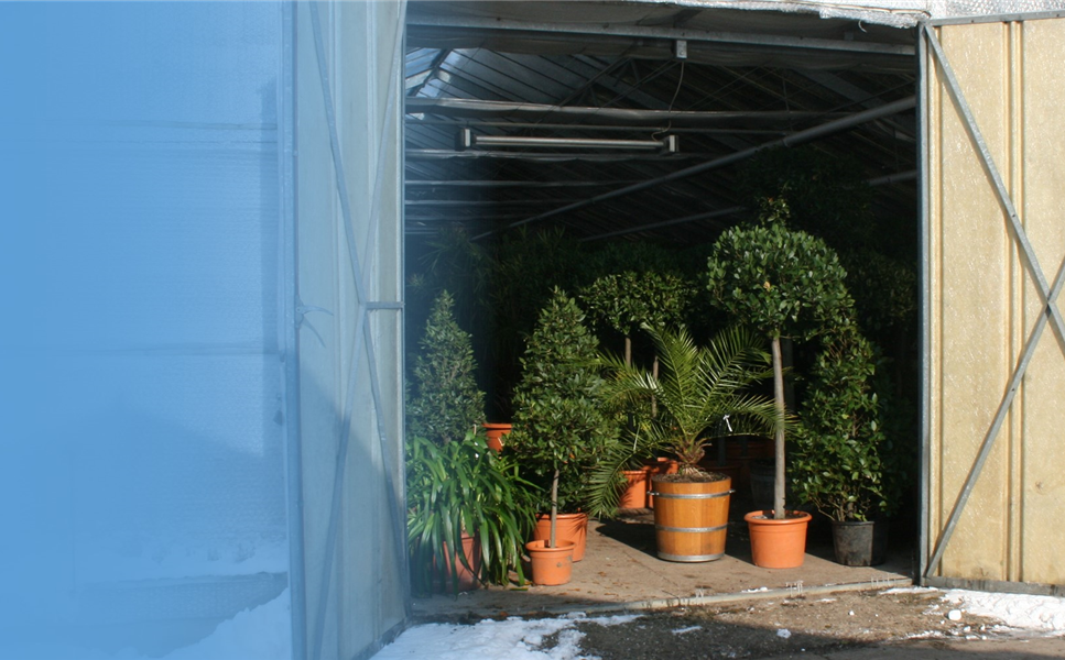 Jetzt online buchen! - Jetzt die Pflanzen-Überwinterung buchen. Jetzt online buchen! - Jetzt die Pflanzen-Überwinterung buchen.