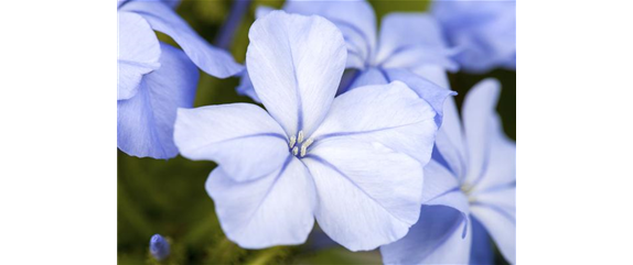 EIN KUNTERBUNTER HERBST! EIN KUNTERBUNTER HERBST!