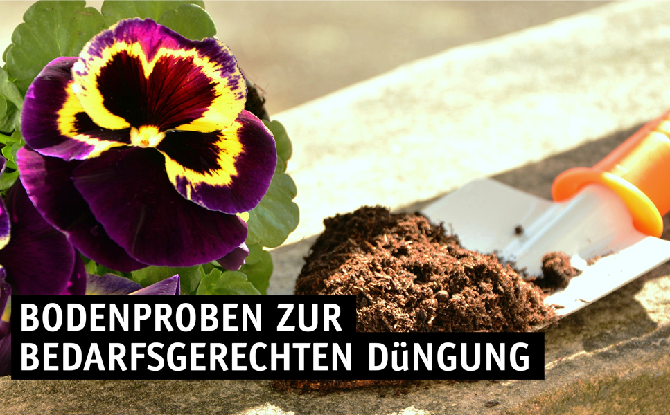 kostenloser Service - Bodentestaktion kostenloser Service - Bodentestaktion