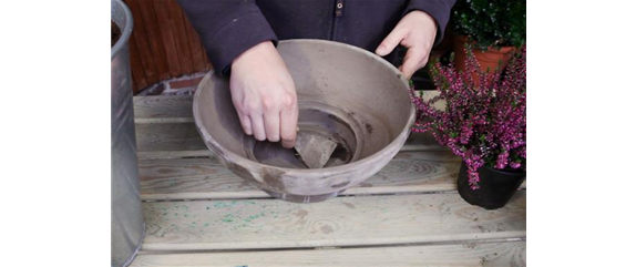 KNOSPENHEIDE - EINPFLANZEN IN EIN GEFÄSS KNOSPENHEIDE - EINPFLANZEN IN EIN GEFÄSS