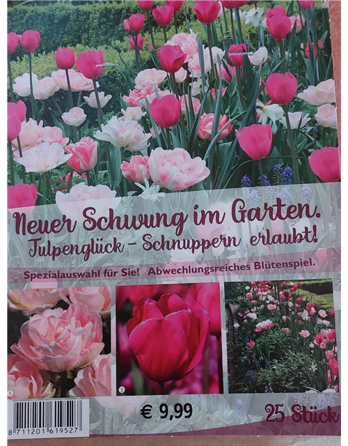 DP Sort. Tulpenglück - Neuer Schwung im Garten