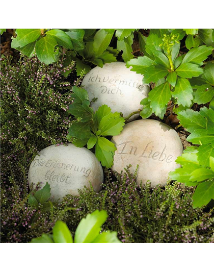 23.11. Totensonntag geöffnet  23.11. Totensonntag geöffnet