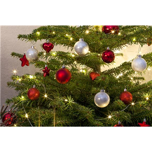 WEIHNACHTS-LICHTER-GÄRTEN WEIHNACHTS-LICHTER-GÄRTEN