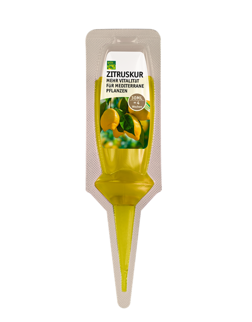 Grün erleben Zitruskur 