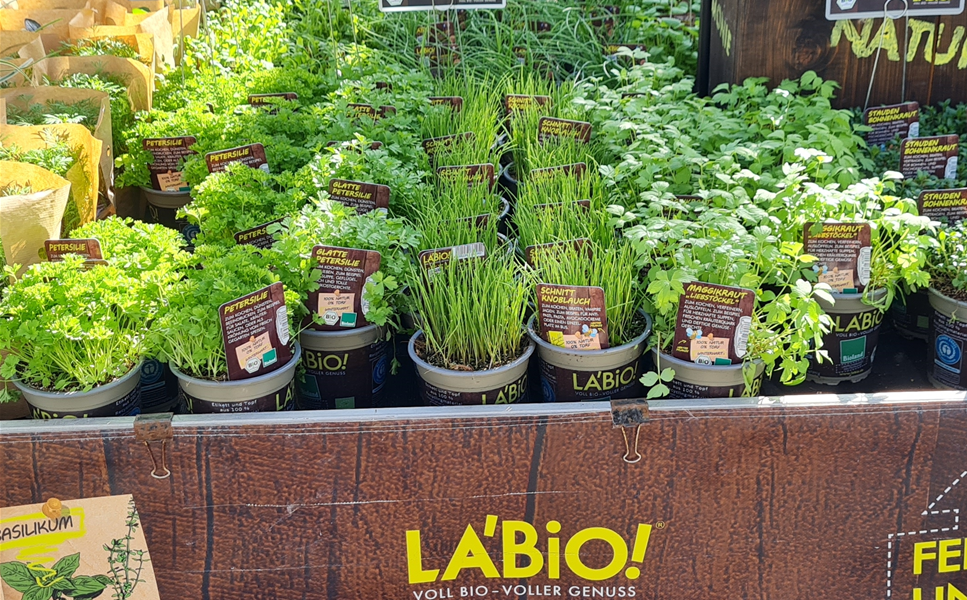 La Bio-Kräuter - beste qualität und wunderbare auswahl La Bio-Kräuter - beste qualität und wunderbare auswahl